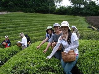 2009-07-04 11:02:59