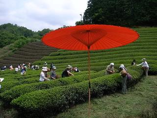 2009-07-04 11:16:37