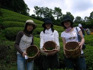 2009-07-04 11:38:35