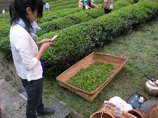 2009-07-04 12:10:11