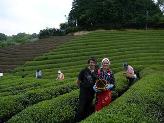 2009-07-04 12:10:52