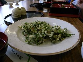 2009-07-04 13:28:19