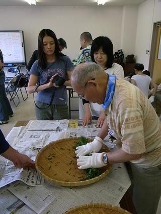 2009-07-04 13:53:50