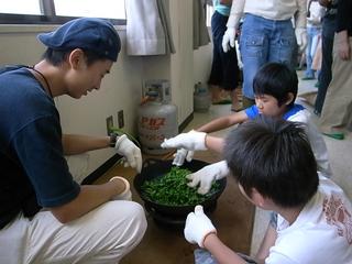 2009-07-04 14:08:19