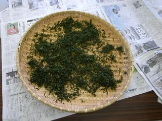 2009-07-04 14:25:55