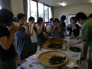 2009-07-04 15:20:29