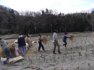 2011-03-27 11:45:32