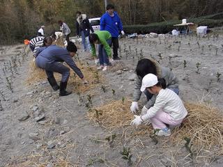 2011-03-27 11:46:43