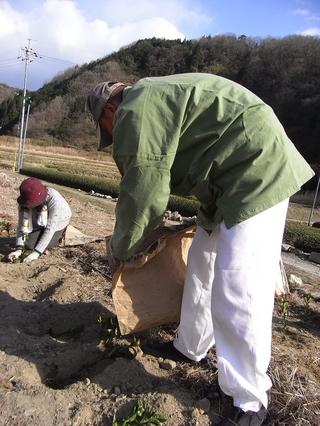 2011-03-30 08:48:39