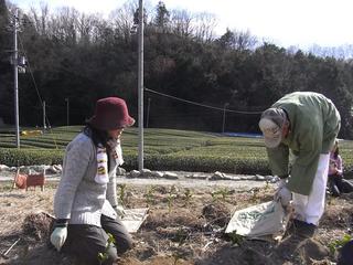 2011-03-27 15:30:18