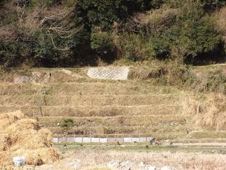 2011-03-27 15:37:32