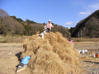2011-03-27 16:13:40