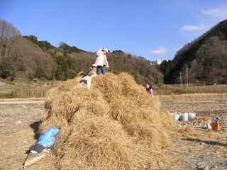 2011-03-27 16:13:47