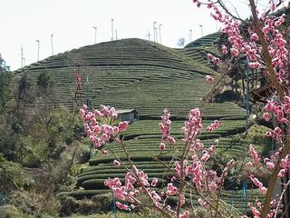 2011-04-04 13:46:33
