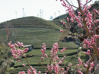 2011-04-04 13:48:00