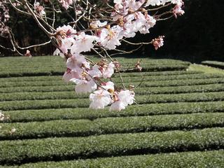 2011-04-04 14:30:11