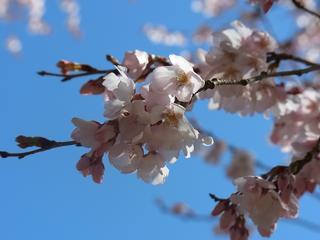 2011-04-04 14:31:46