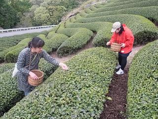2011-04-30 11:14:12