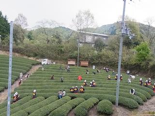 2011-04-30 11:37:27