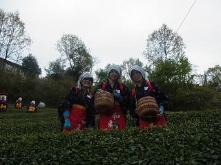 2011-04-30 11:45:19
