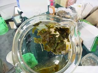 2011-06-25 09:03:42
