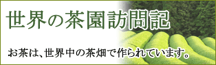 世界の茶畑 訪問記