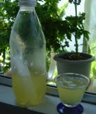 【おぶぶＮＥＷＳ】